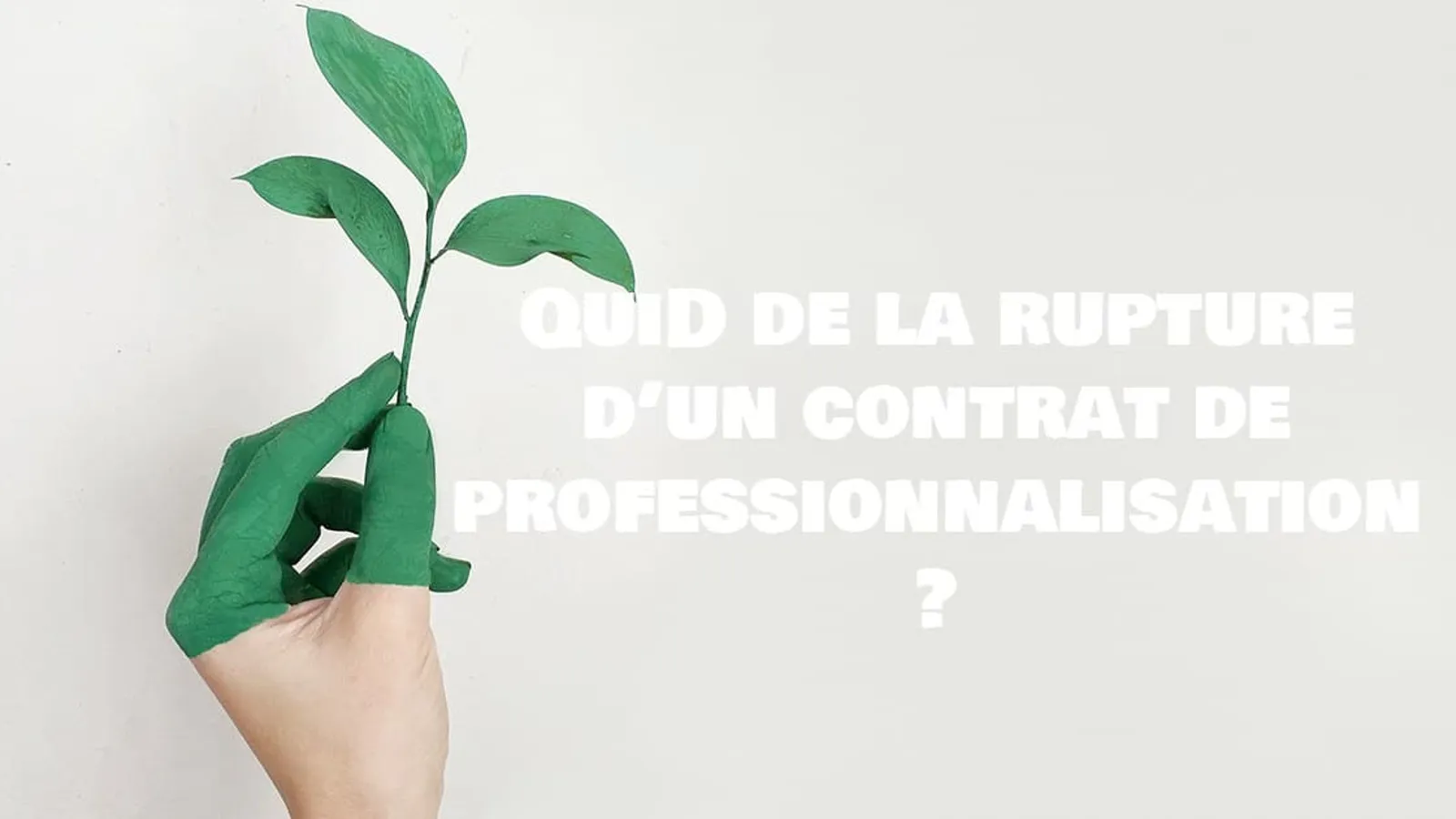 rupture contrat de professionnalisation