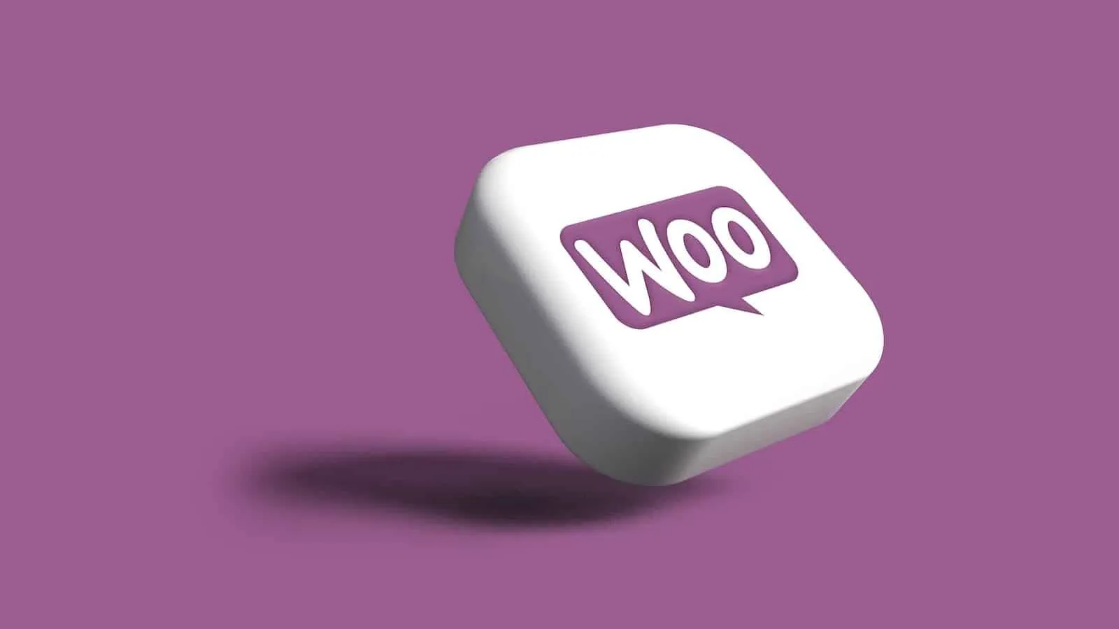 plateforme woocommerce