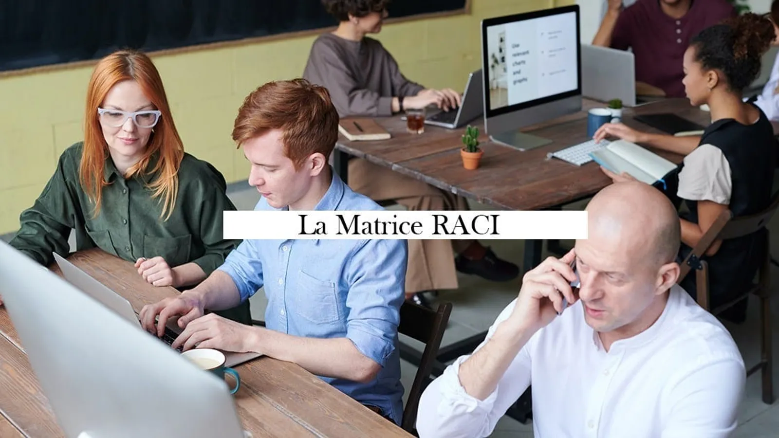 matrice raci definition