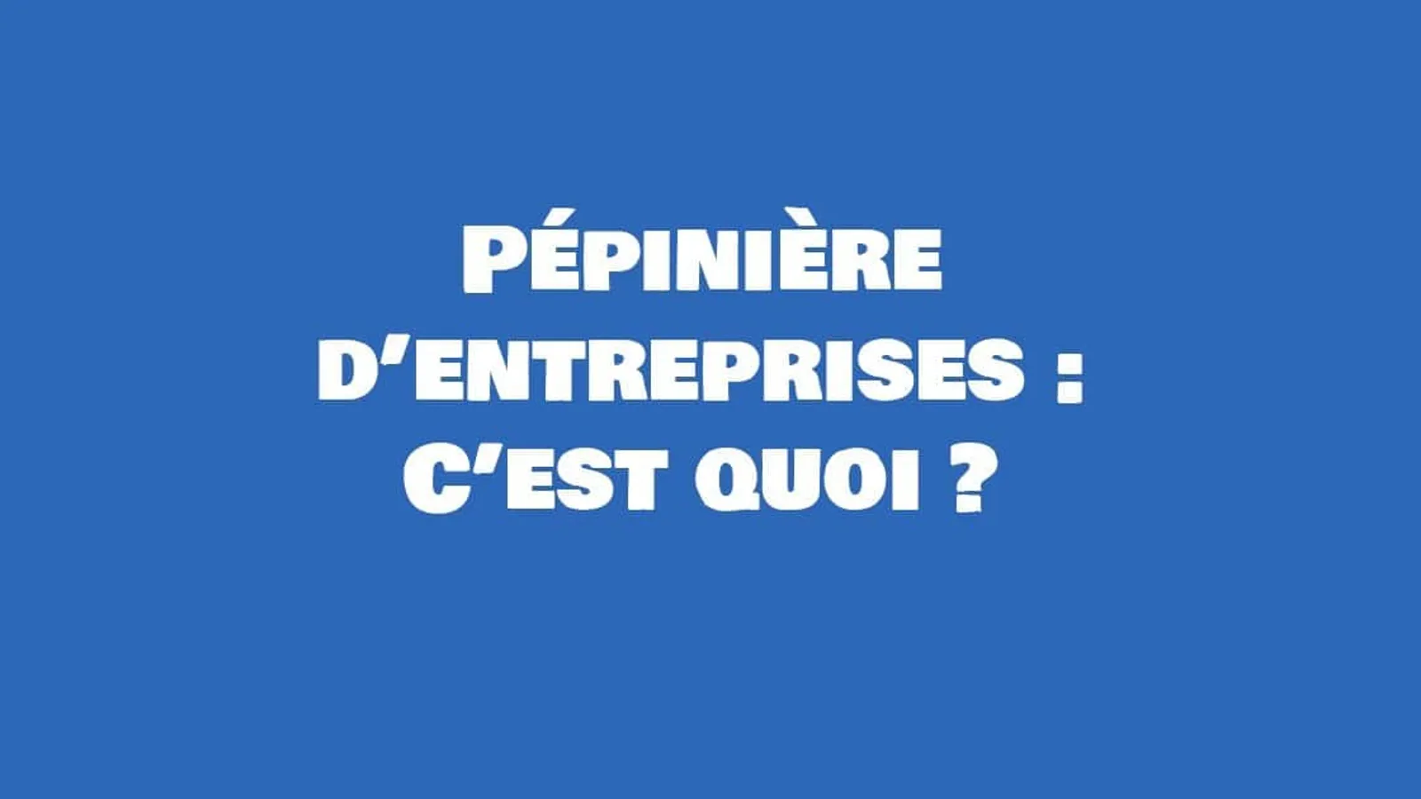 definition pepiniere d entreprise