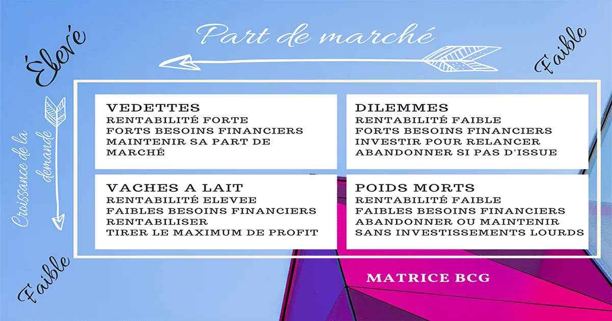 exemple de matrice bcg