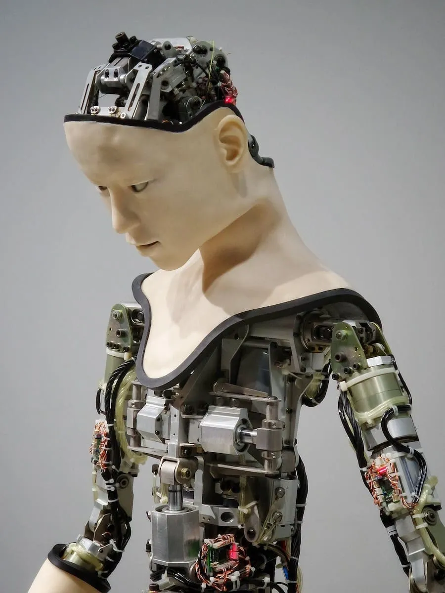 investissement dans la robotique