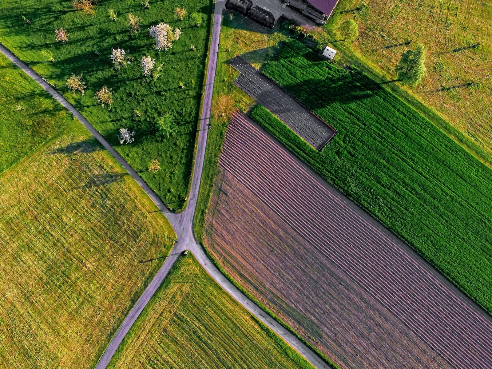 La particularité des baux ruraux
