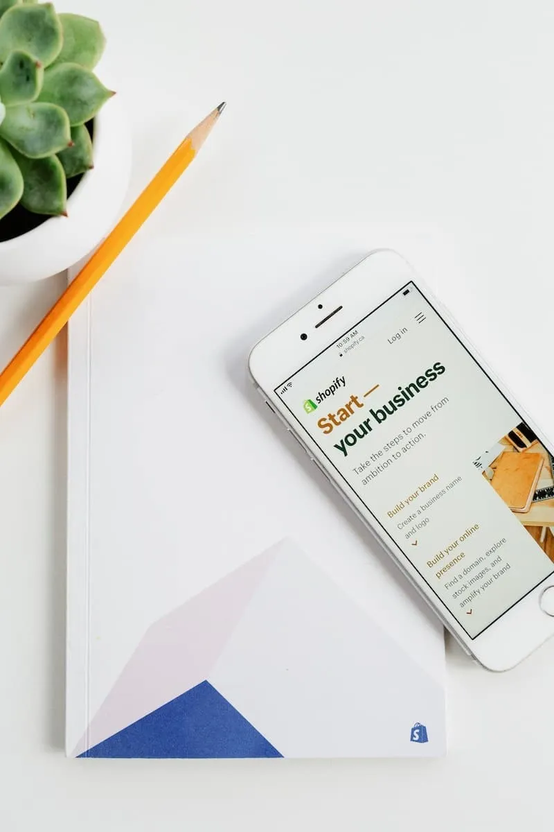 shopify et le dropshipping