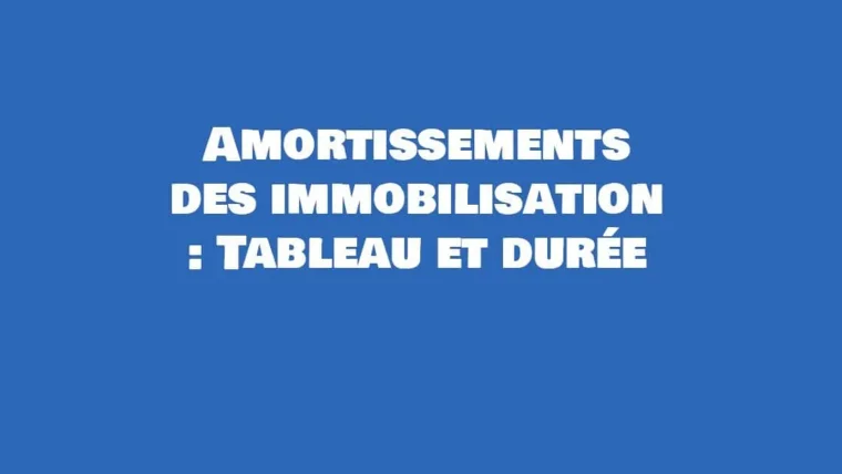 amortissements des immobilisations