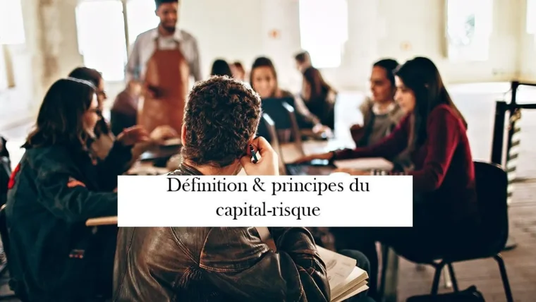 capital risque definition