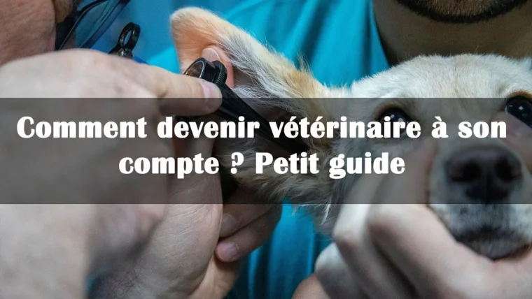 devenir veterinaire a son compte