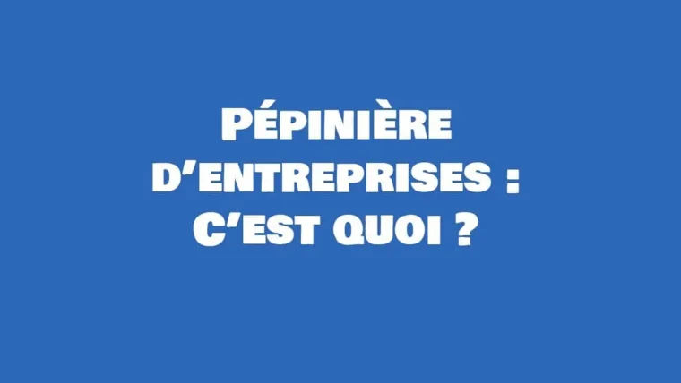 definition pepiniere d entreprise