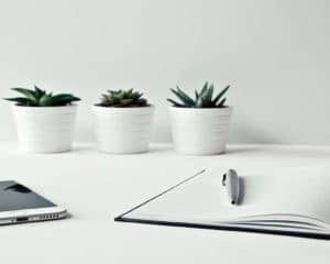 definition landing page