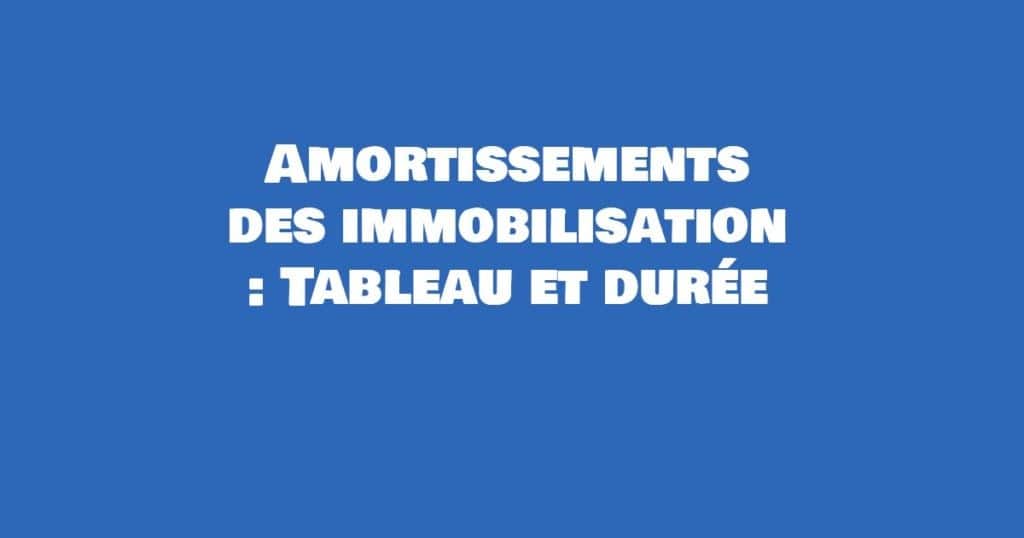 amortissements des immobilisations