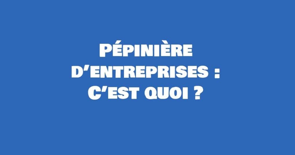 definition pepiniere d entreprise