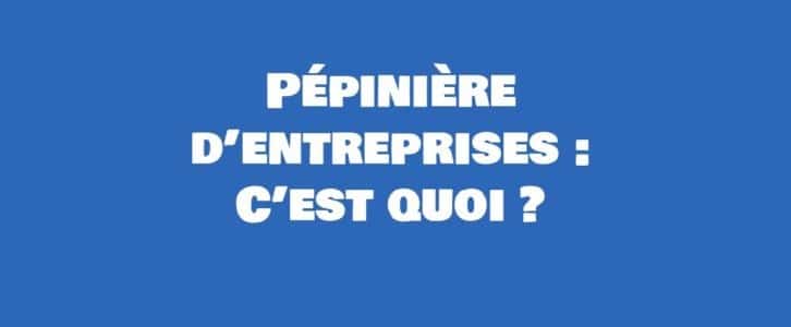 Une pépinière d’entreprises : C’est quoi ? Définition