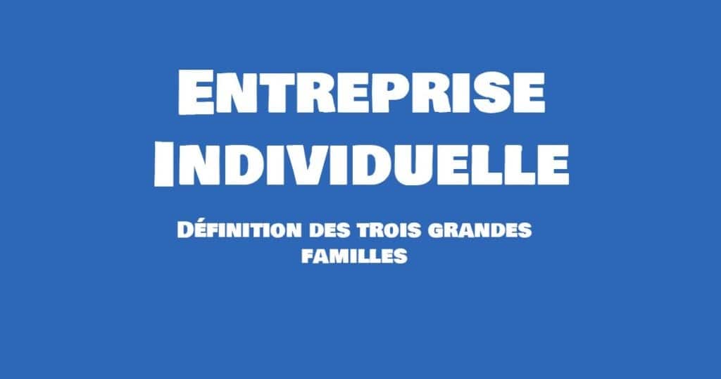 entreprise individuelle definition