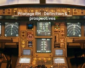 pilotage rh definition