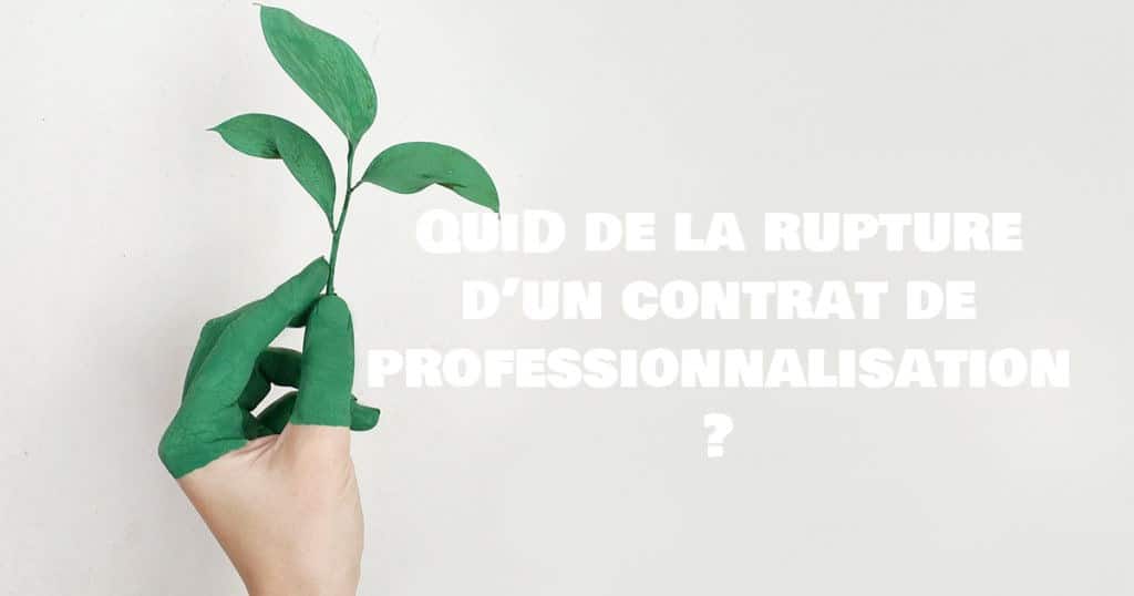 rupture contrat de professionnalisation