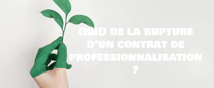 La fin d’un contrat de professionnalisation : Modalités de rupture