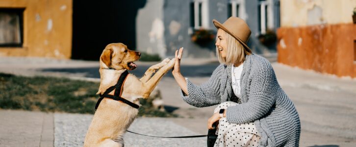 Se former au métier d’éducateur canin pour créer son entreprise