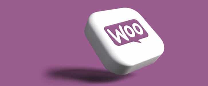 Comment fonctionne WooCommerce ? Explications